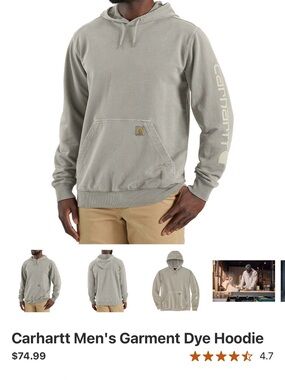 Carhartt Men's Pullover Hoodie in Light Olive Gray